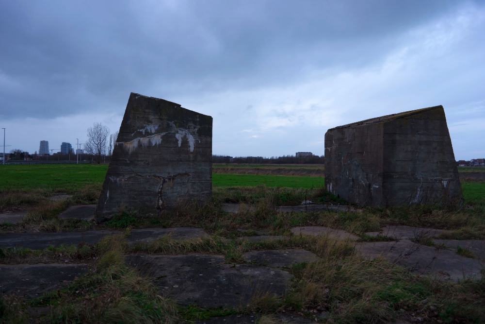 Remains German Gantry Crane #3