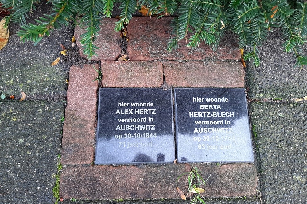 Memorial Stones Celsiusstraat 22