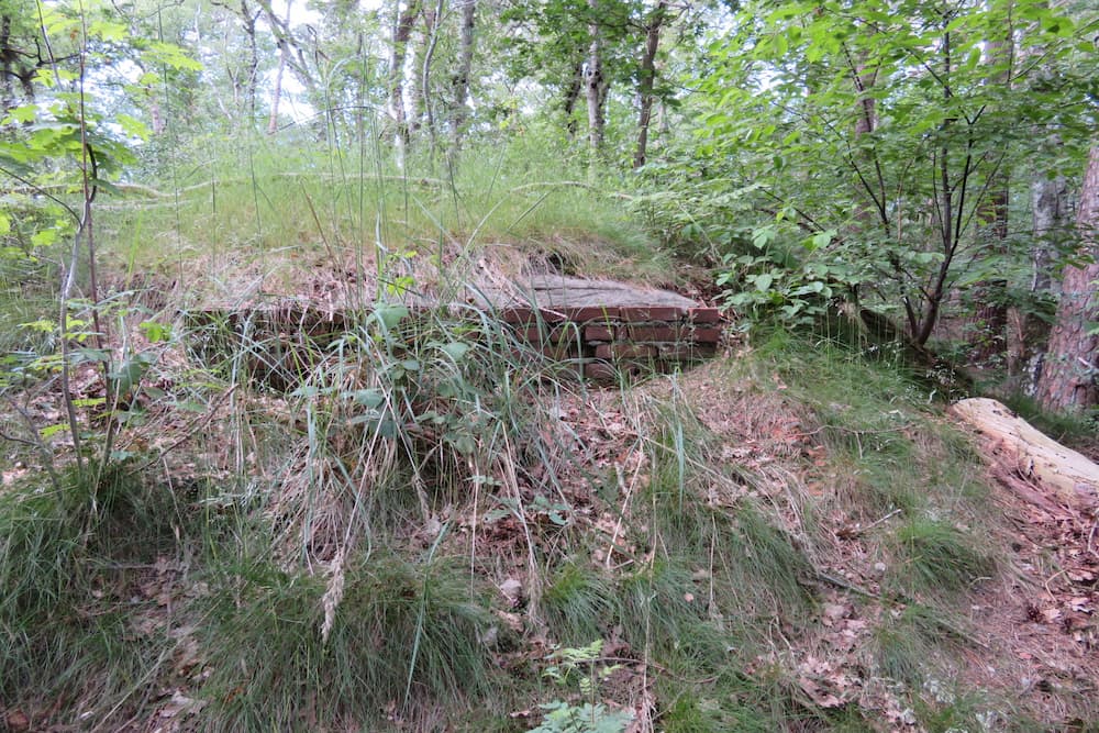 Air Raid Bunker 2 Zuidgeest