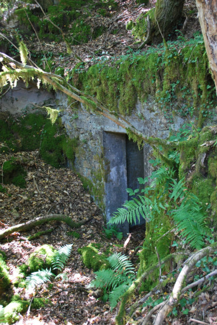 Bunker Complex Peyrat-le-Château #4