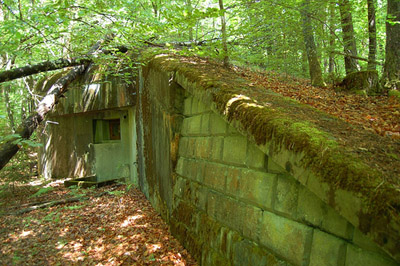 Maginot Line - Blockhouse Biesenberg (7)