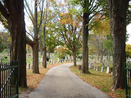 Oorlogsgraven van het Gemenebest Mount Hope Cemetery