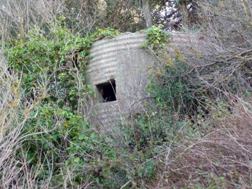 Bunker FW3/25 Kimmeridge