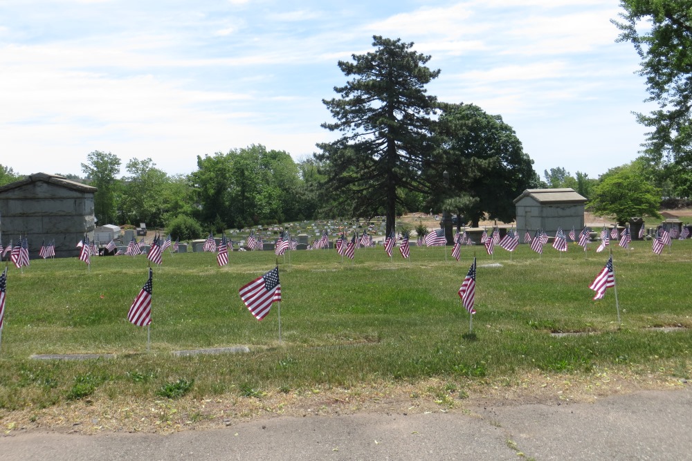 Commonwealth War Grave Arlington Memorial Park