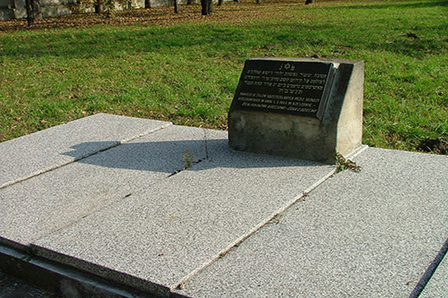 Joodse Begraafplaats Rzeszow