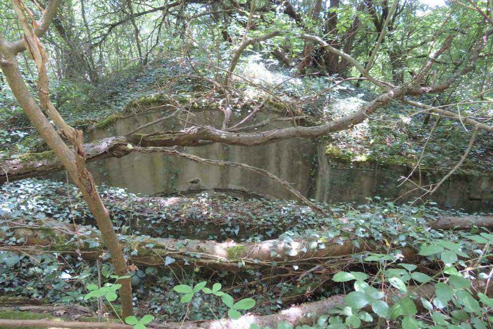 Bunker Butte de Froidmont Champey-sur-Mosselle