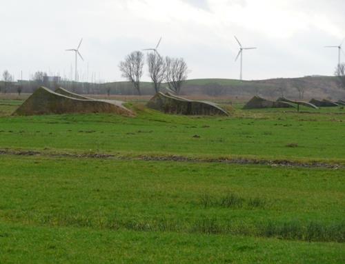 Group Shelter Spaarndam #3