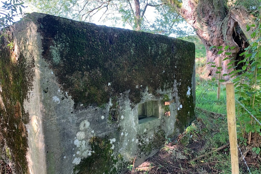 Bunker E - Position Avance Hombourg #3