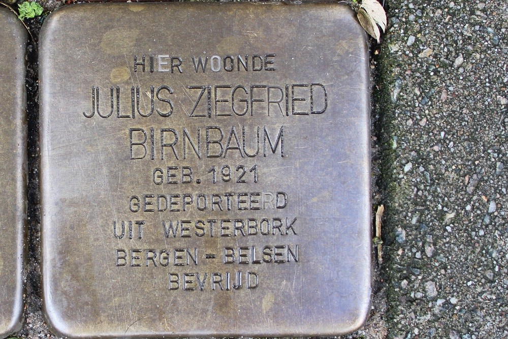 Stolpersteine Johannes Vermeerstraat 18 #4