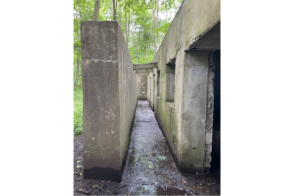 Bunkers Castle Forrest Haamstede #4