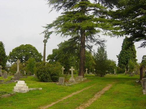 Oorlogsgraven van het Gemenebest Paines Lane Cemetery