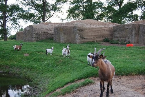 Britse Bunkers Rijselseweg #3