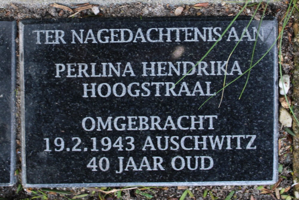 Memorial Stones Van Galenstraat 7 #2