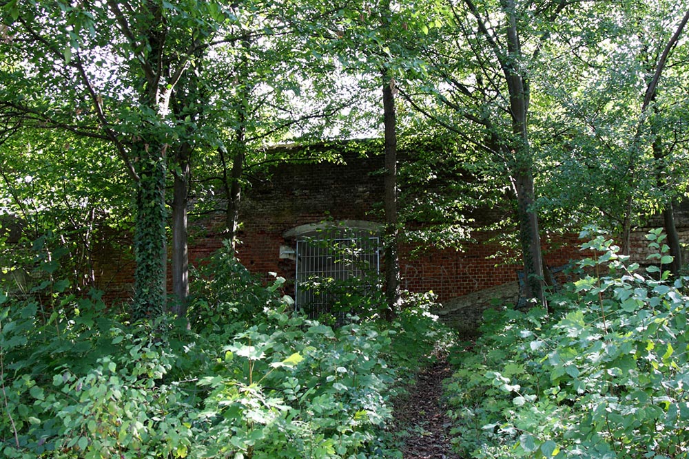Remains Fort VIII