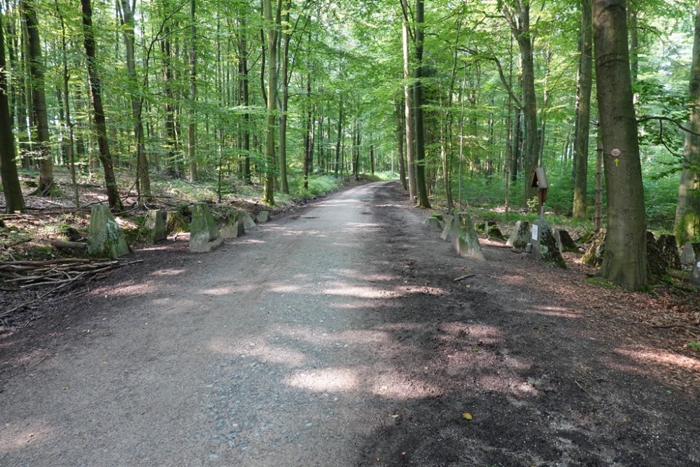 Westwall - Tank Barrier Preuswald