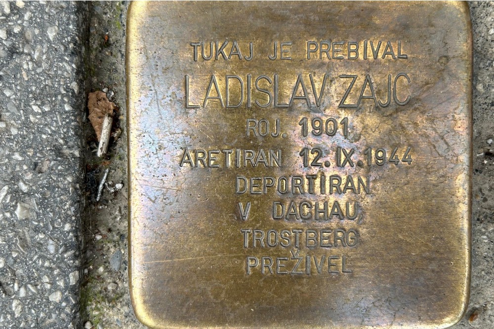 Stolpersteine Resljeva cesta 8 #2