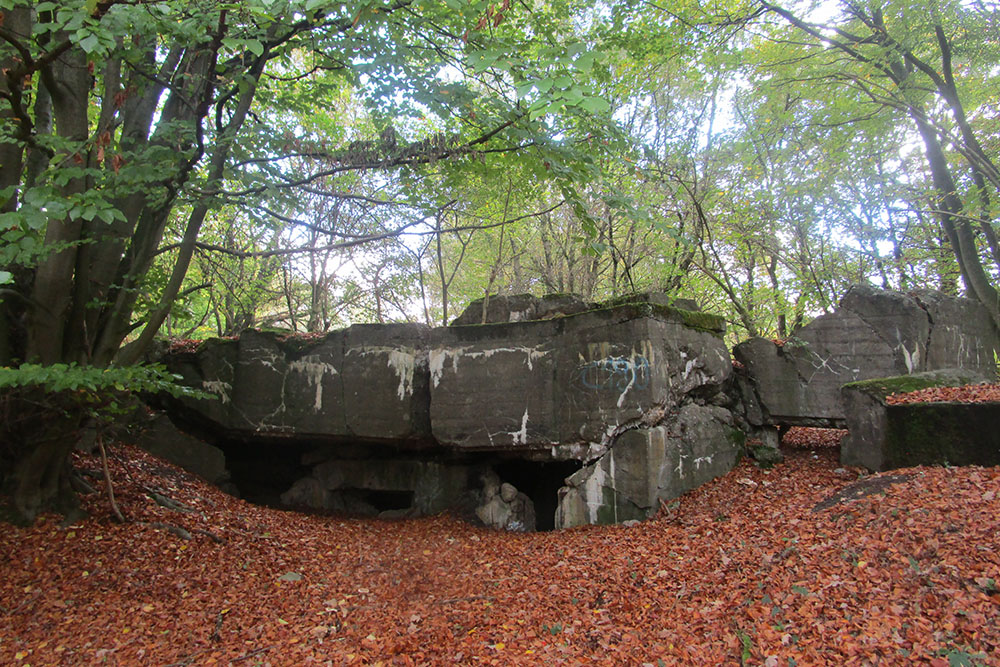 Westwall - Remains Bunker 481 (Regalbau B, MG Schartenstand)