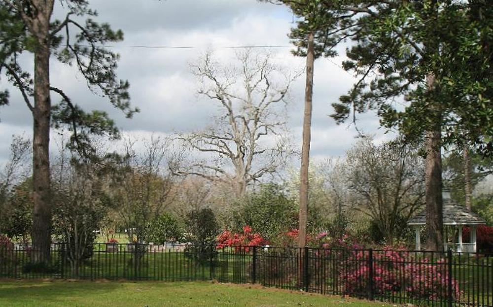American War Grave Magnolia Campbell Cemetery