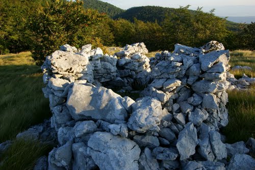 Alpine Wall - Pillbox Trstenik