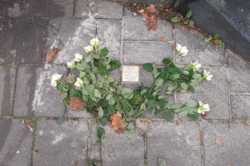 Stolperstein Boterdiep 22a #2