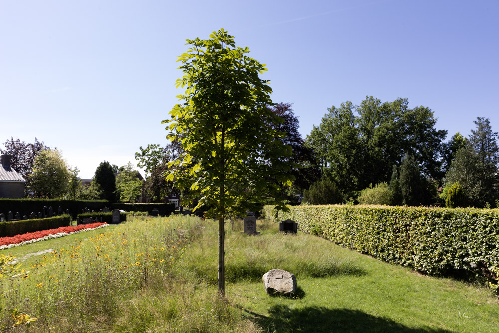 Anne Frank Tree Haaksbergen #4