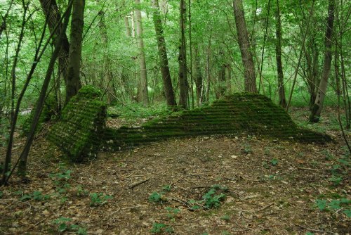 Remains British Bunker Ploegsteert Wood
