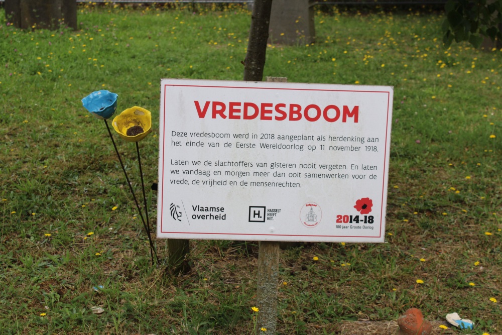 Vredesboom Sint-Lambrechts-Herk	 #2