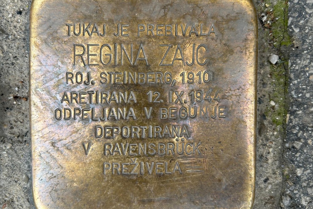 Stolpersteine Resljeva cesta 8 #3