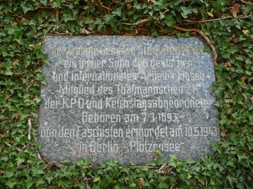 Memorial Siegfried Rädel - Pirna - TracesOfWar.com