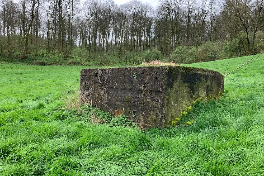 Bunker A - Position Avance Beusdael