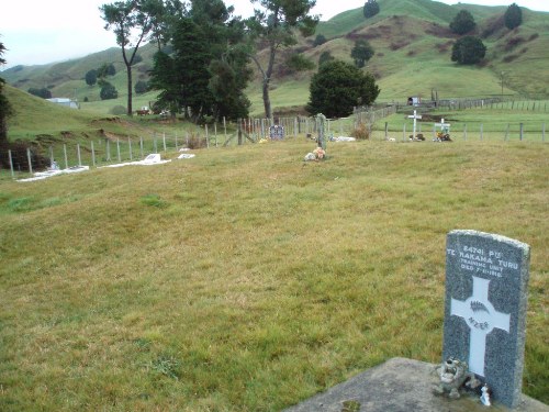 Commonwealth War Grave Taringamotu Maori Cemetery