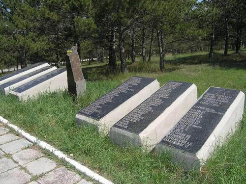 Mass Grave Soviet Soldiers 7th Marine Brigade