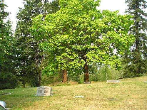 Commonwealth War Graves Salmon Arm Cemetery