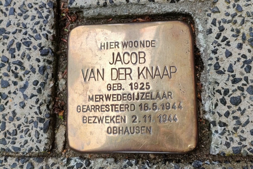 Stolperstein Julianastraat 24 #3