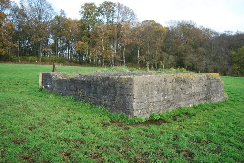 German Bunker Reutel Wood