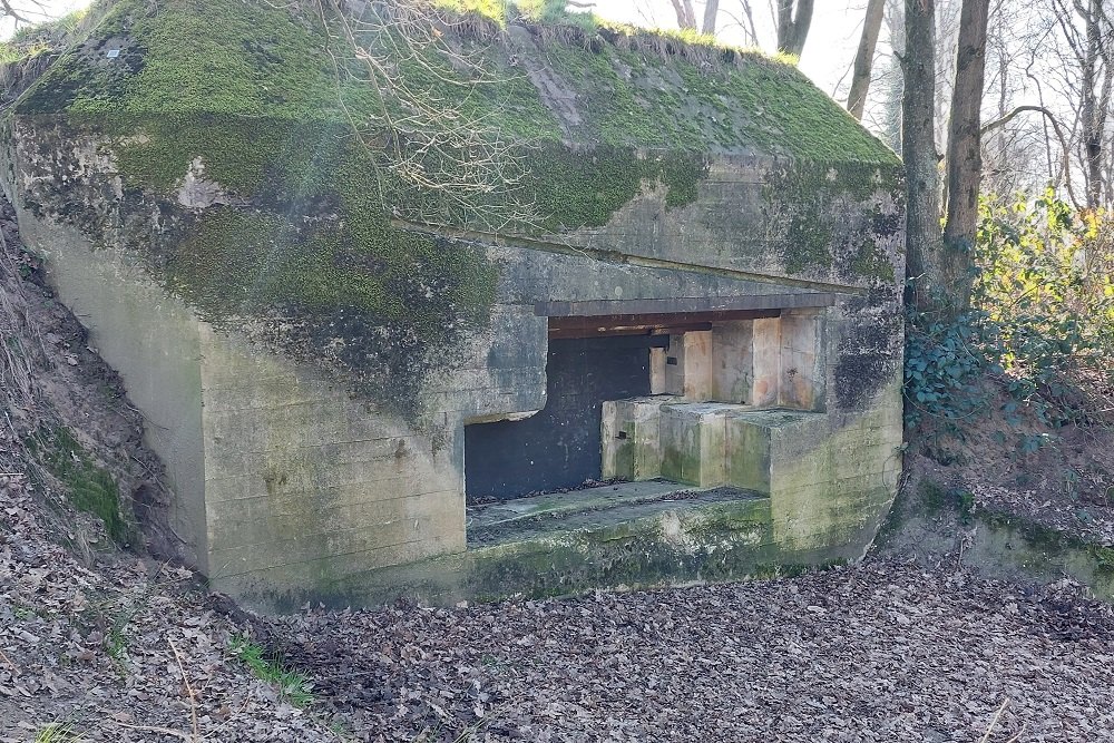 Pantherstellung - Bunker R011-P #3