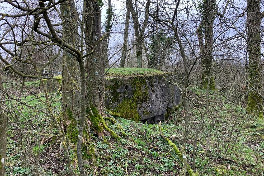 Bunker C - Position Avance Dolhain (Limbourg)