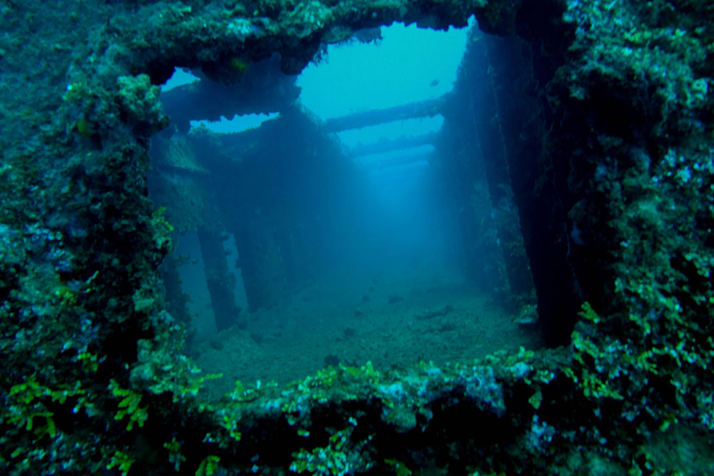 Shipwreck Tokai Maru