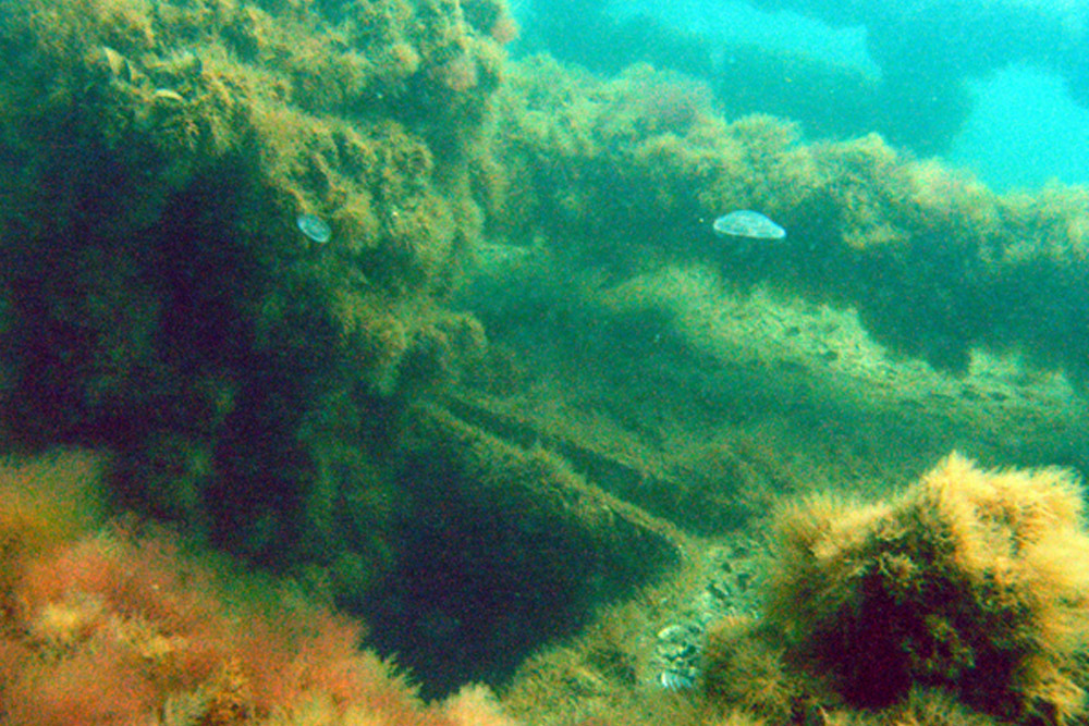 Shipwreck Marinefhrprahm 