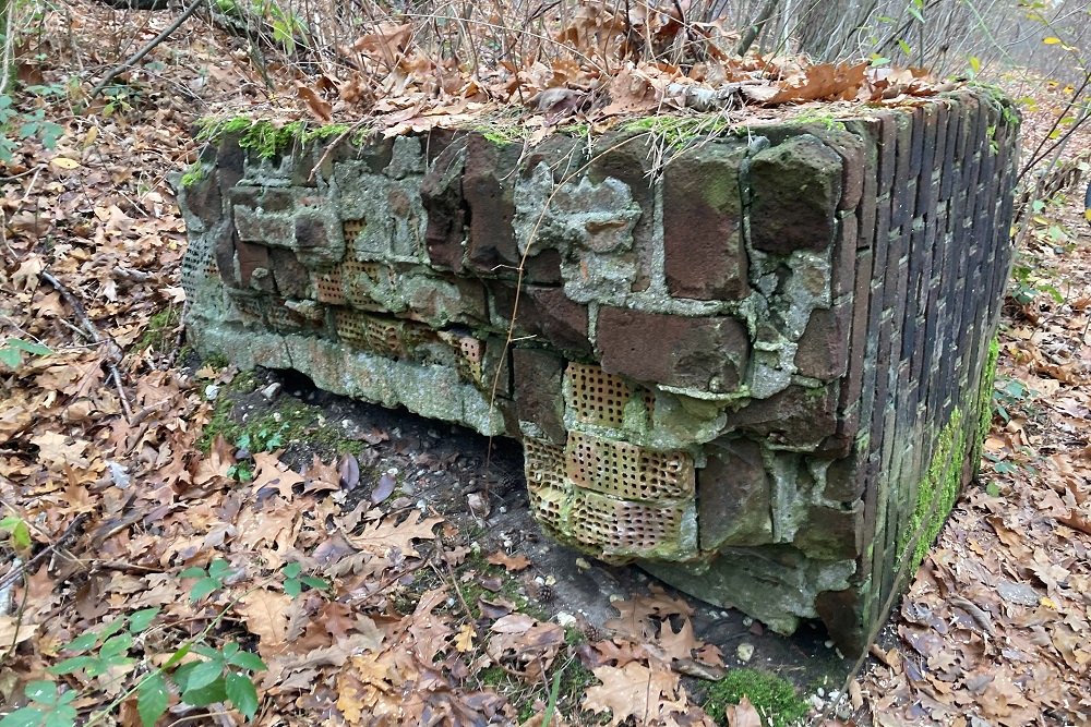 Remains Hangar Südlager Fliegerhorst Venlo #4