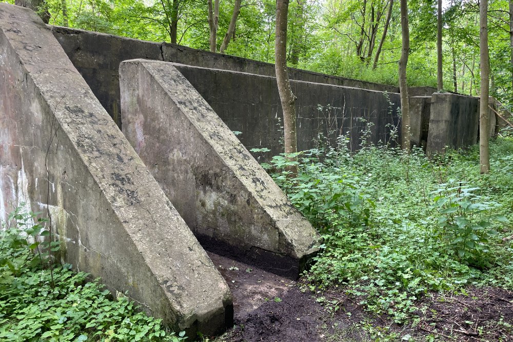 Bunkers Castle Forrest Haamstede #3