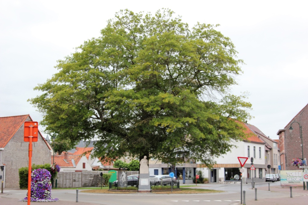 Peace Tree Machelen-aan-de-Leie