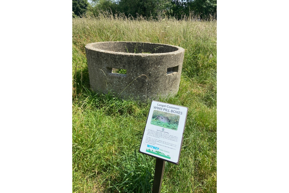 Pillbox Langel Common Witney #2