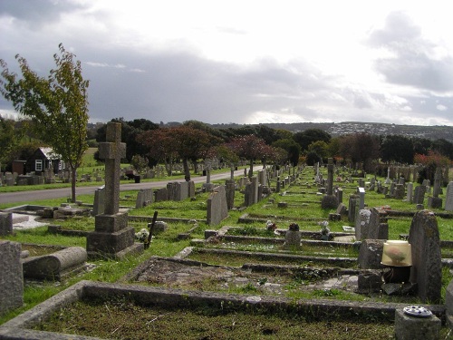 Oorlogsgraven van het Gemenebest Godlingston Cemetery
