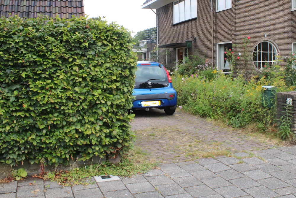 Memorial Stone Frank van Borselenlaan 8 #3