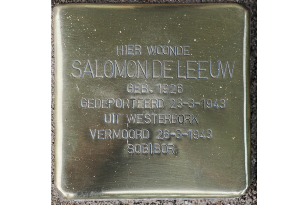 Stolpersteine Mr. H.F. de Boerlaan 95 #5