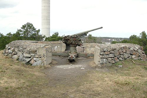 Anti-aircraft Battery 
