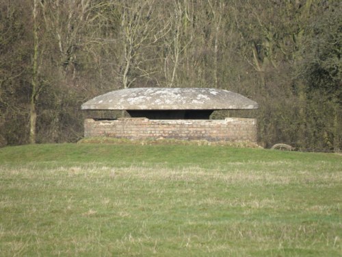 Mushroom Bunker Grafton Underwood
