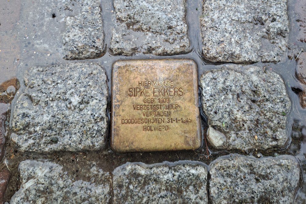 Stolperstein Visweg 1 #2