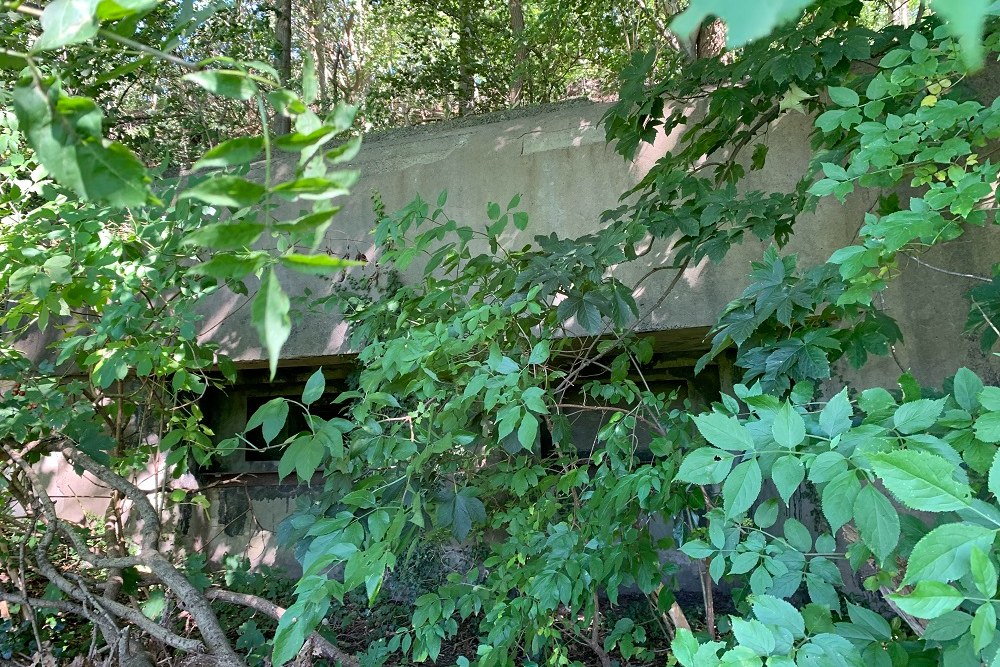 Bunker Mi1 Micheroux